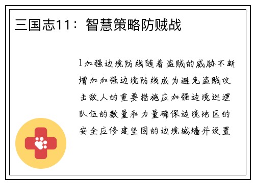 三国志11：智慧策略防贼战